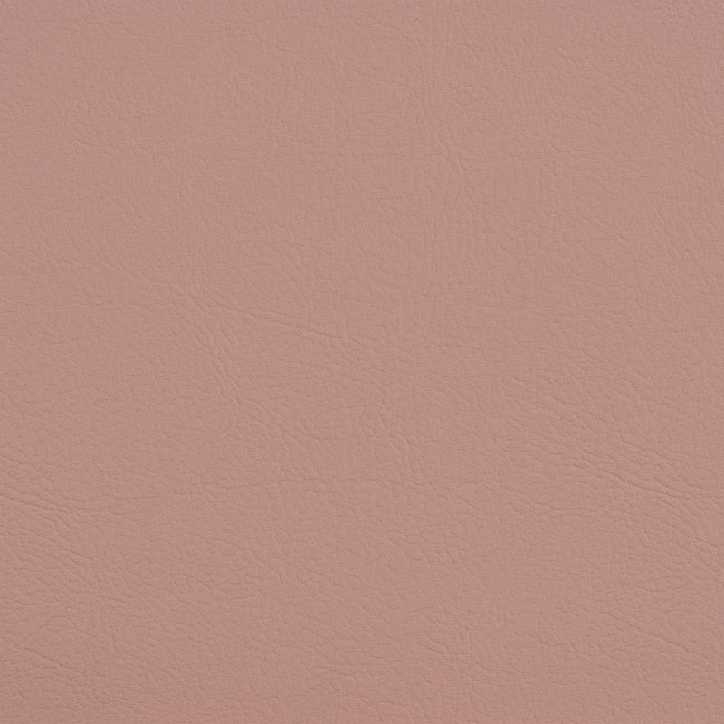TSVA-2114 rose